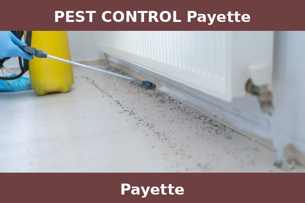 PEST CONTROL Payette